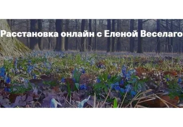 Расстановка онлайн. 25 ноября (Елена Веселаго)