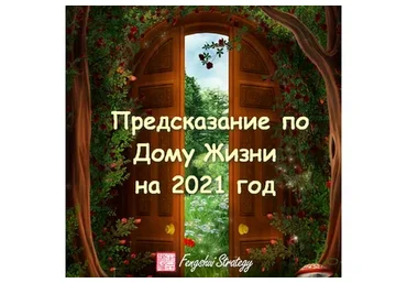 Предсказание по Дому Жизни на 2021 год (Юлия Полещук)