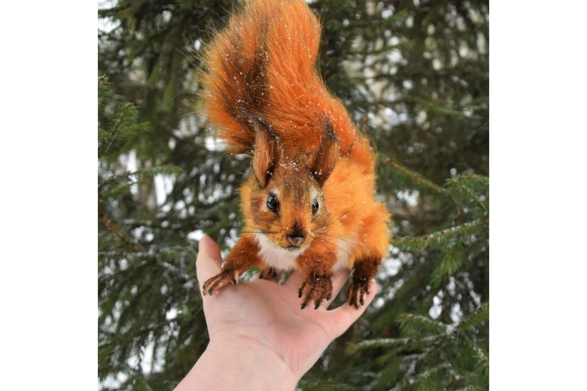 Реалистичная белочка (Татьяна Гришина), фото 1 из 1.