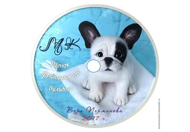 Щенок французского бульдога (Вера Перминова)