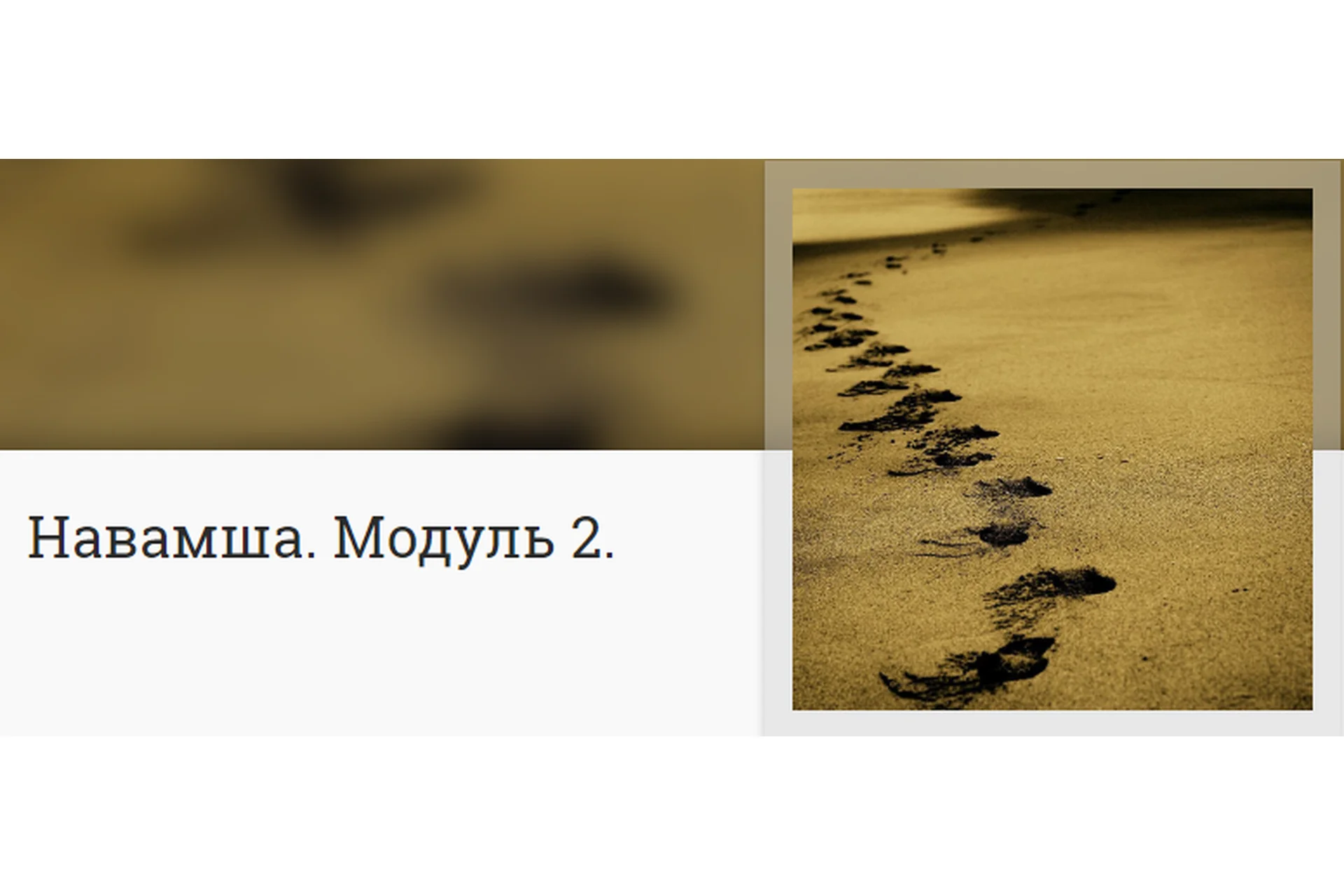 [Mitra-Varuna School] Навамша. Модуль 2 (Анна Ласточкина), фото 1 из 1.