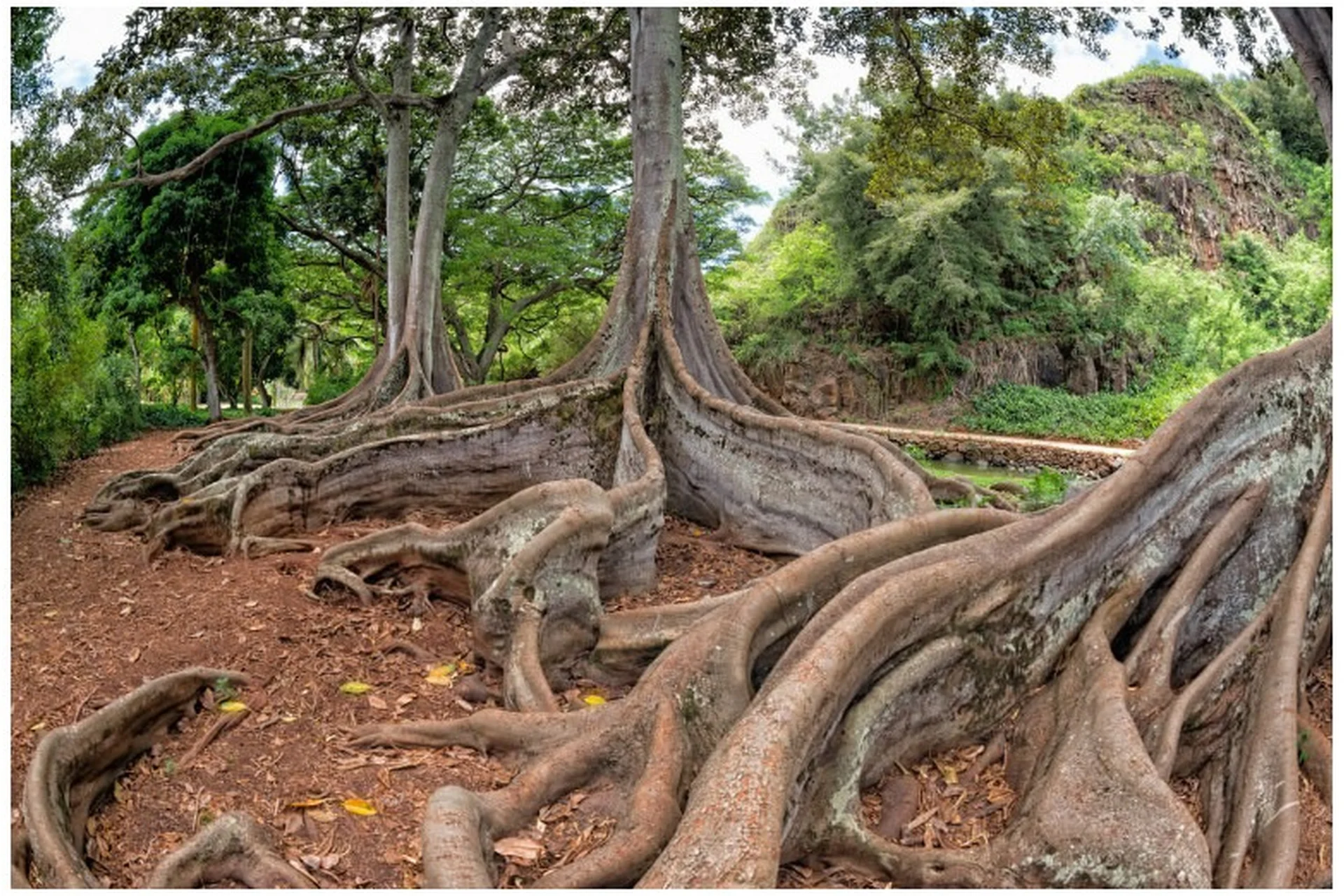 Полевая диагностика и атрибуция (Елена Веселаго), фото 1 из 1.