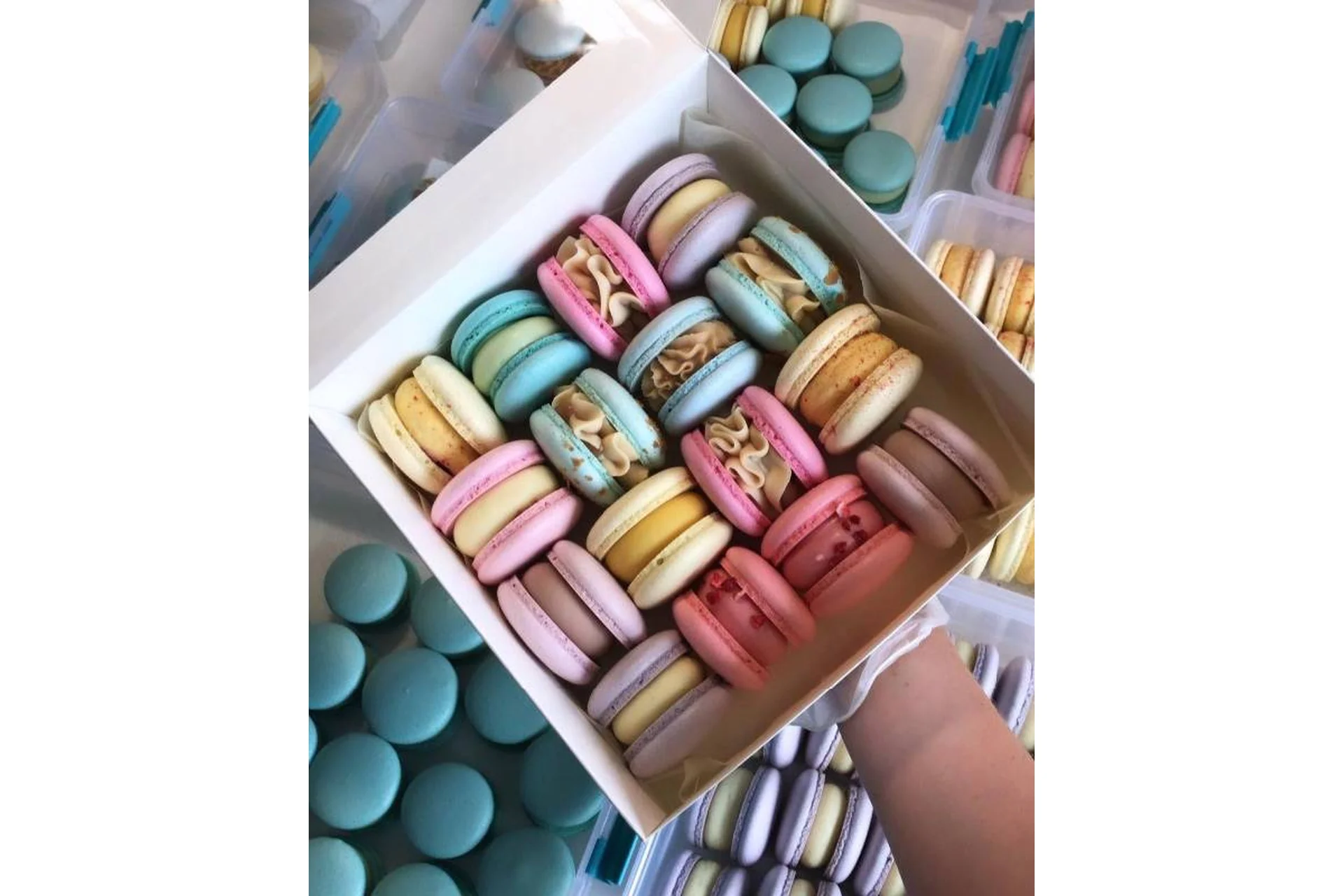 5 начинок макарон. Сборник 1 (macaronsonly_kr), фото 1 из 1.