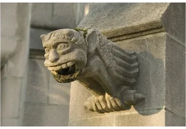 Практика и жизнь (Елена Веселаго)