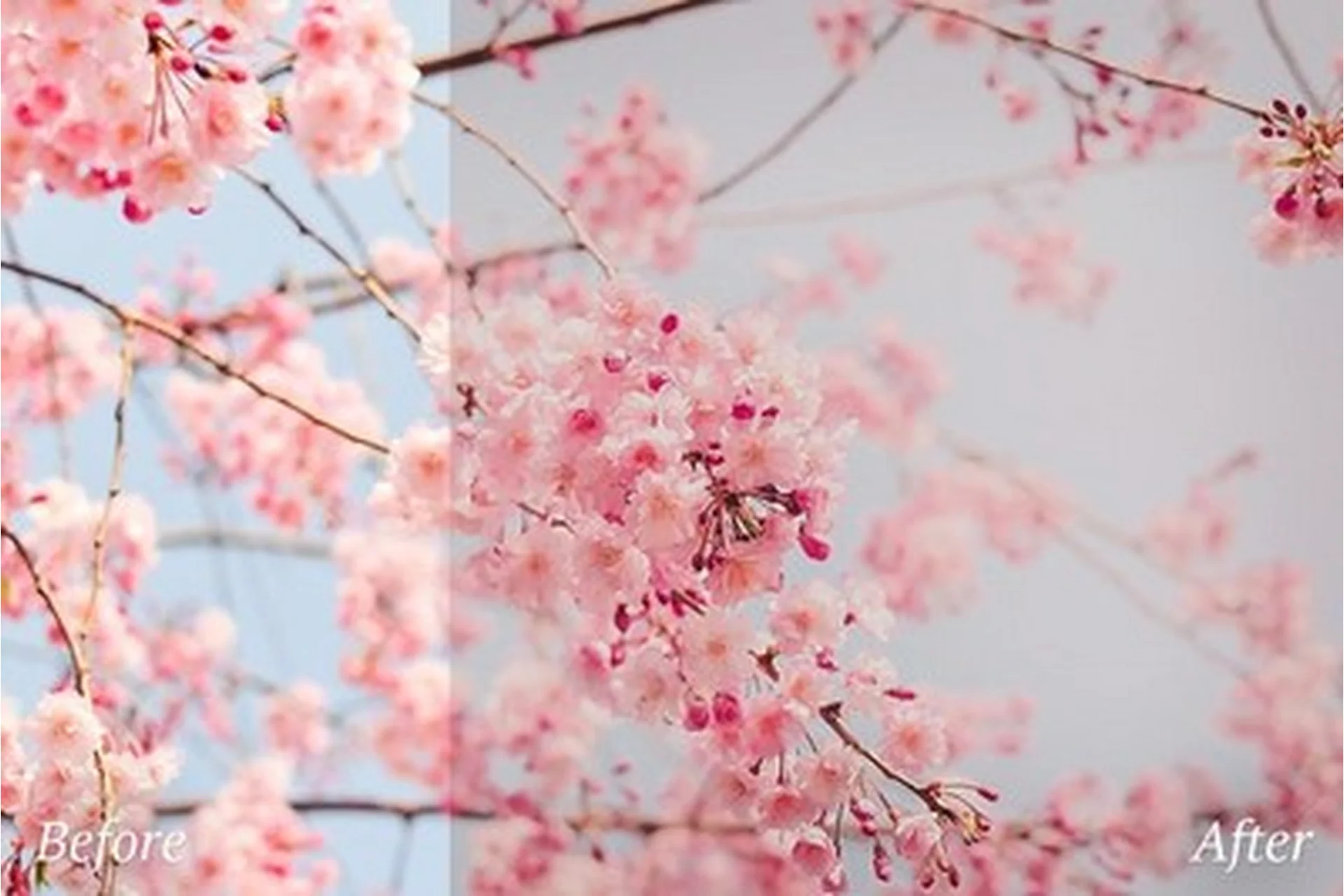 [CreativeMarket] Нежные пресеты Matte для Lightroom (Art Planet), фото 1 из 1.