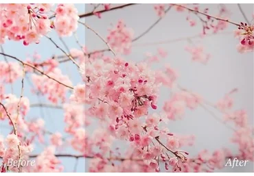 [CreativeMarket] Нежные пресеты Matte для Lightroom (Art Planet)