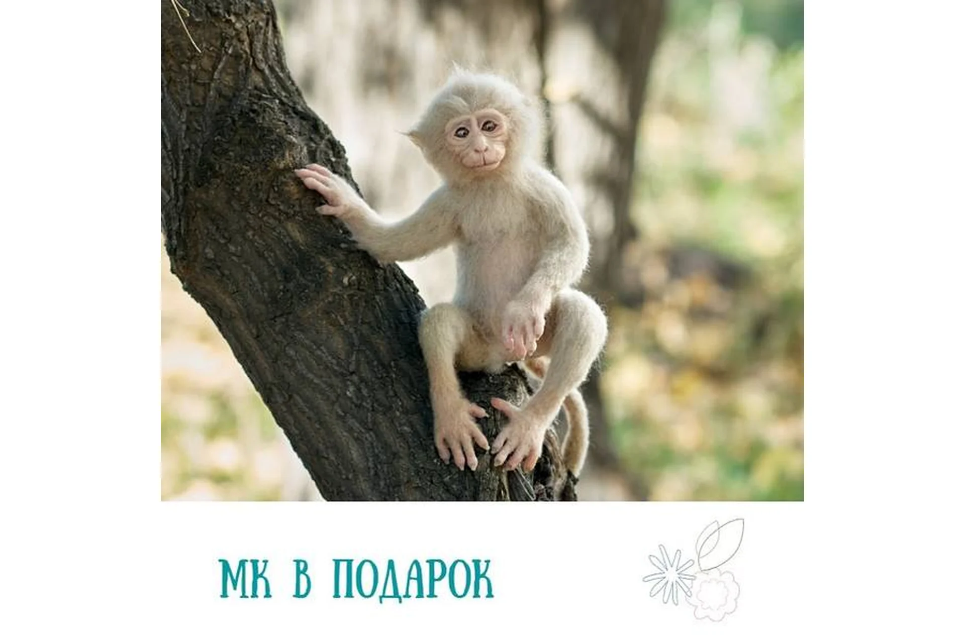 Мастер реалистичной игрушки. Тариф Самостоятельный (Катерина Сосина), фото 1 из 1.