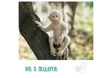 Мастер реалистичной игрушки. Тариф Самостоятельный (Катерина Сосина)