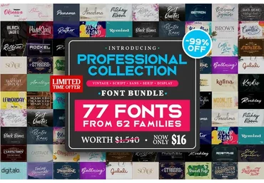 [Сreativefabrica] Professional Collection Font Bundle (Din Studio)