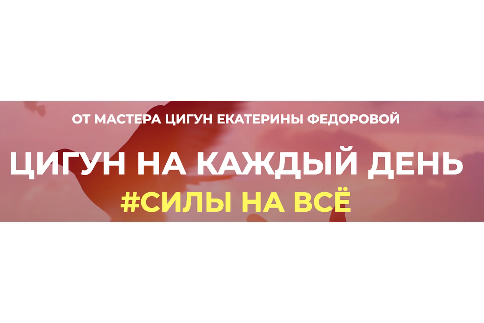 Цигун на каждый день (Екатерина Федорова), фото 1 из 1.