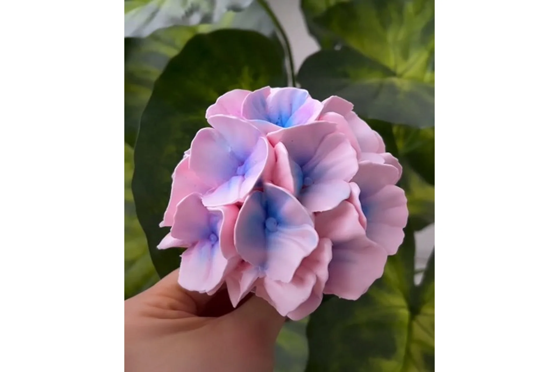 [buket_zefira_rnd] Гортензии из зефира (Анна Иванова), фото 1 из 1.