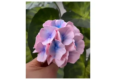 [buket_zefira_rnd] Гортензии из зефира (Анна Иванова)