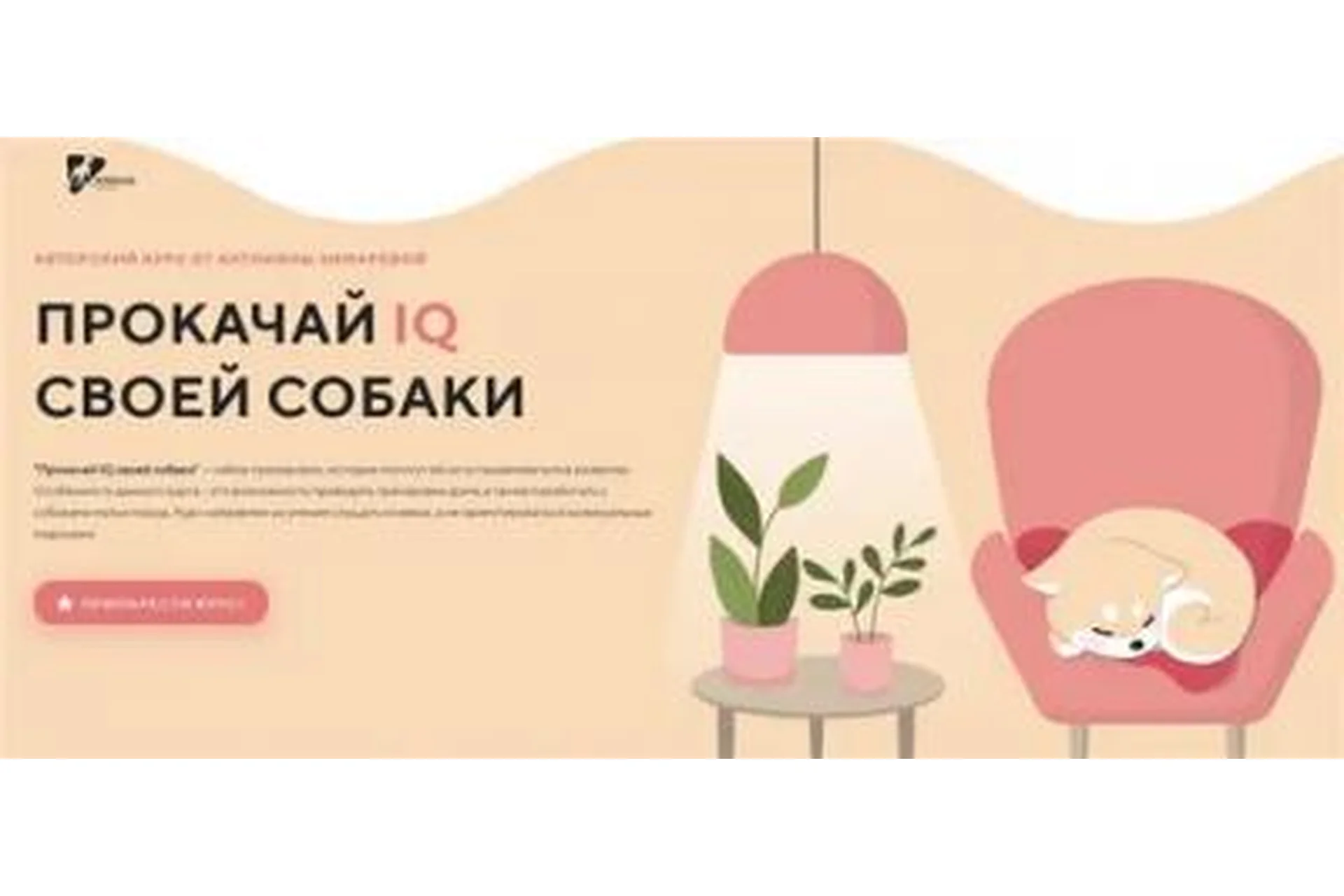 [Kinolog School] Прокачай IQ своей собаки. Тариф Самостоятельный (Антонина Зимарева), фото 1 из 1.