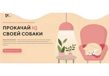 [Kinolog School] Прокачай IQ своей собаки. Тариф Самостоятельный (Антонина Зимарева)