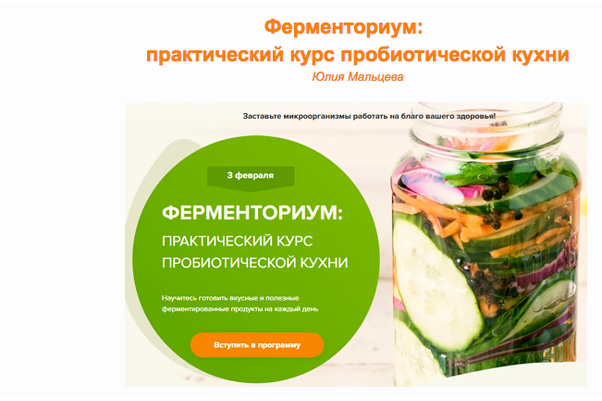 Ферменториум: практический курс пробиотической кухни, пакет Полный, февраль 2020 (Юлия Мальцева), фото 1 из 1.