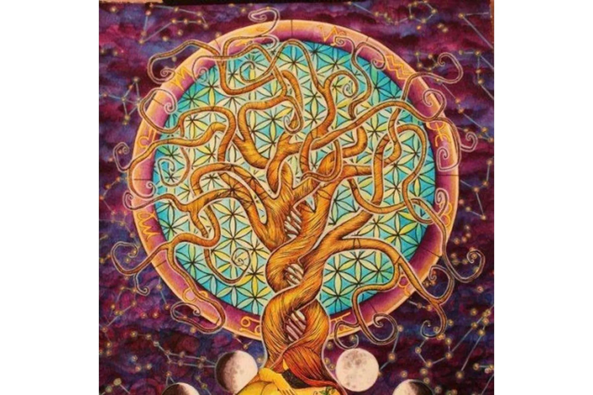 IX модуль. Выход на новые уровни развития. Родовые и семейные сценарии (Ирина Бердина), фото 1 из 1.