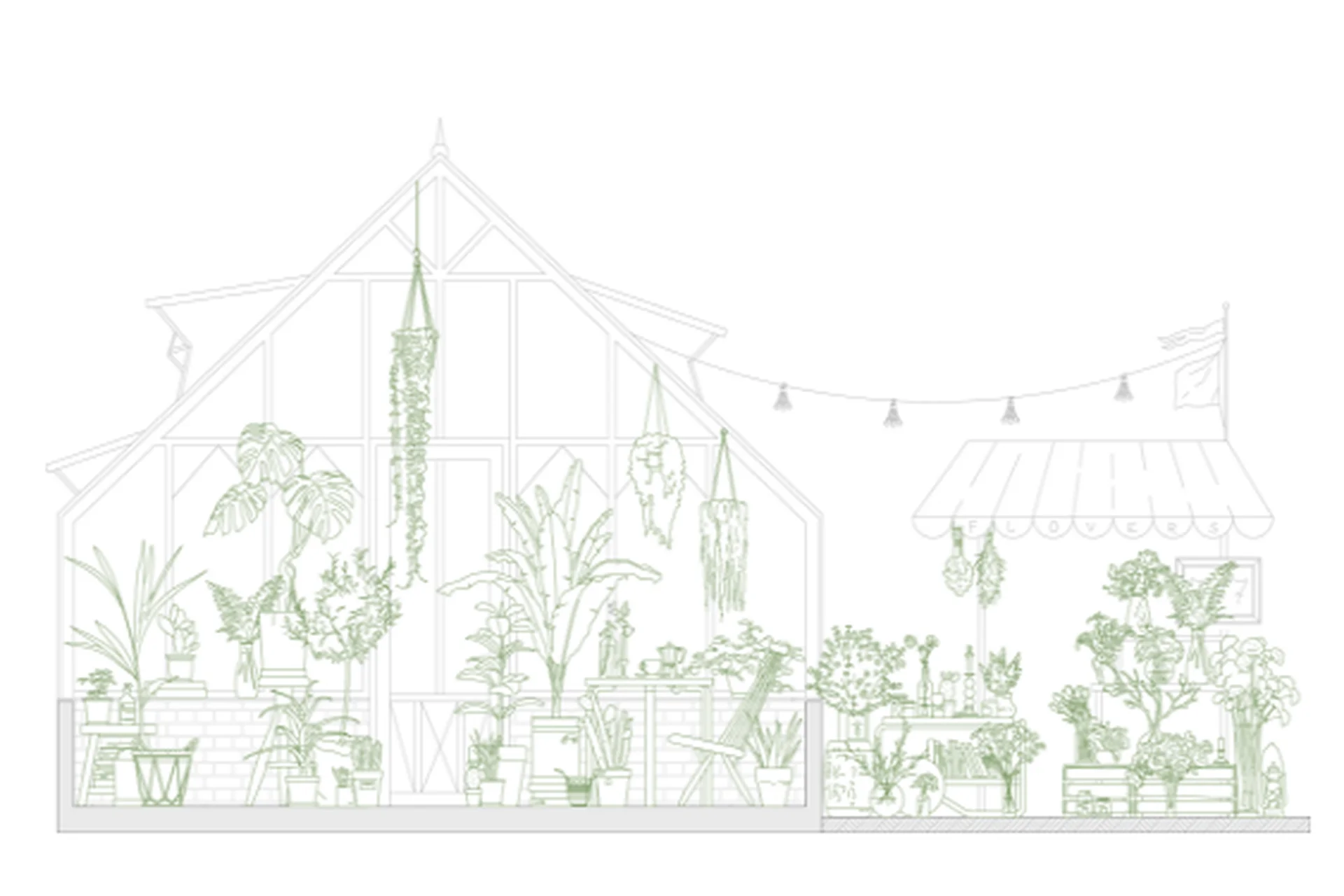 [Architectured] Ботанический набор для чертежей (Маргарита Рассказова), фото 1 из 1.