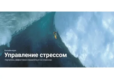 Управление стрессом. Тариф Standart (Полина Тур, Полина Кривых)