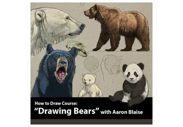 Как рисовать медведей  |  How to Draw Bears (Аарон Блейз)
