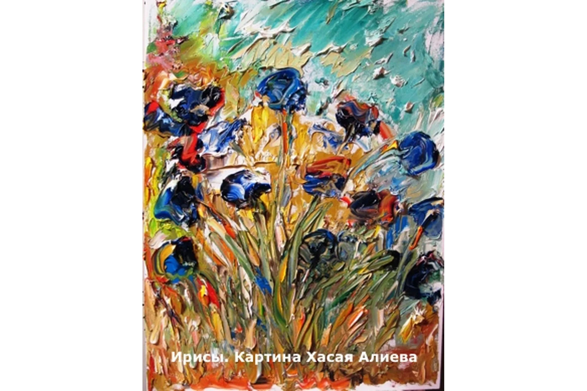 Практическое применение ключа ВИП (Хасай Алиев), фото 1 из 1.