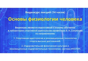 Основы физиологии человека. Тариф «Информативный» (Андрей Антонов)