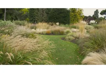 [Репейник] Декоративные травы и их применение (Ирина Пыжикова)