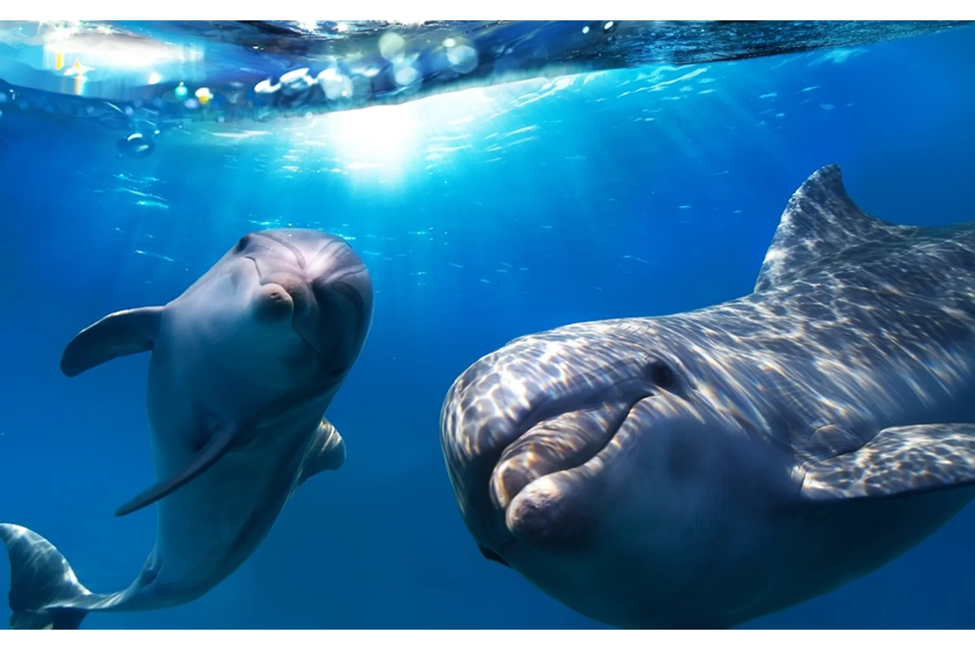 [Повтор] Работа со взаимоотношениями (Антон Ковалевский), фото 1 из 1.