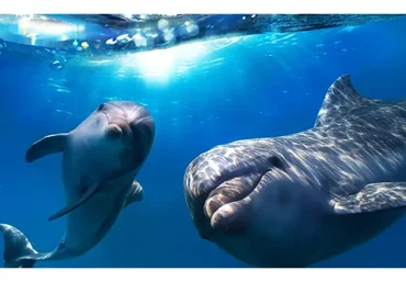 [Повтор] Работа со взаимоотношениями (Антон Ковалевский)