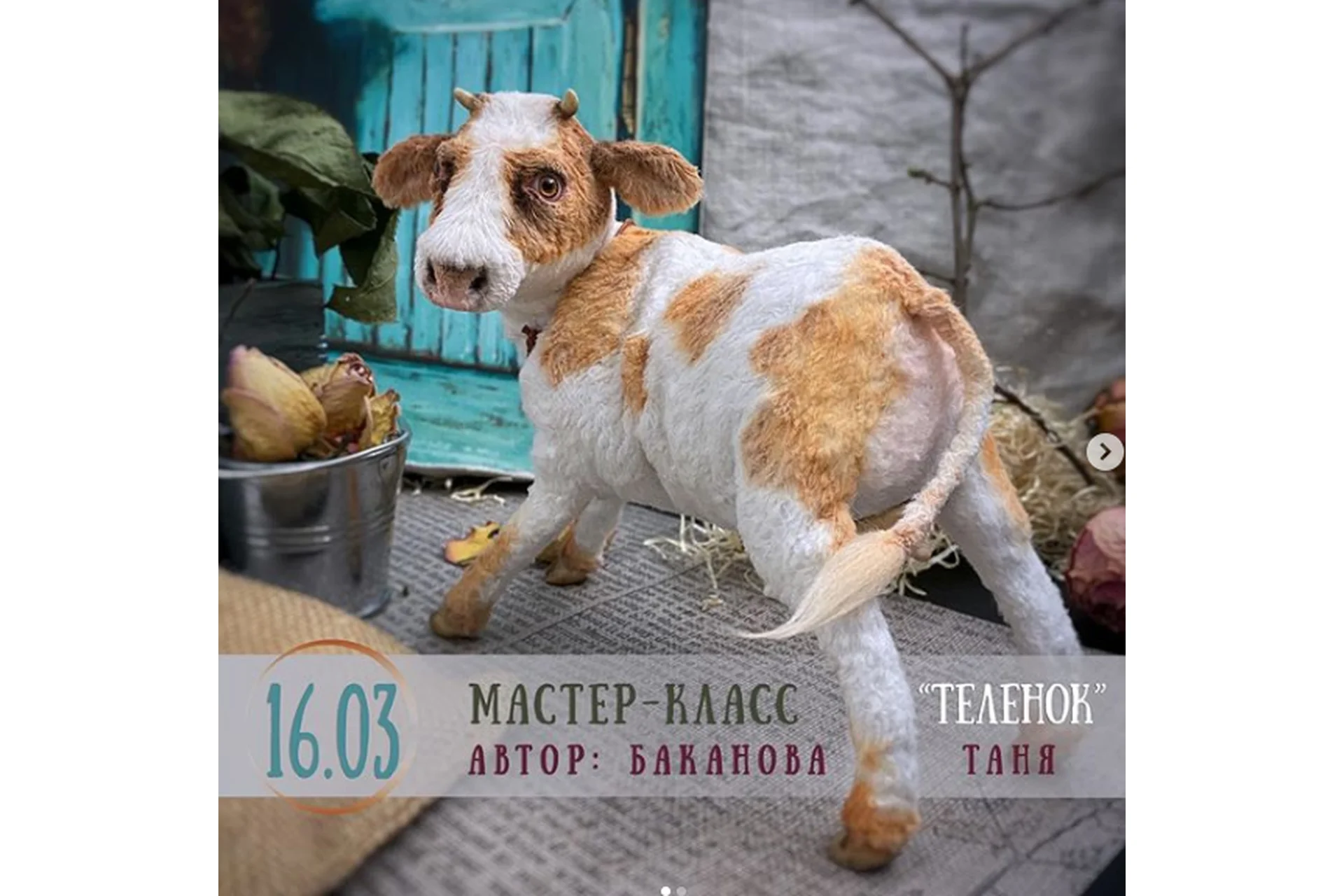 Телёнок (Татьяна Баканова), фото 1 из 1.