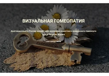 Визуальная гомеопатия. Тариф «1 занятие» (Георгий Журж)