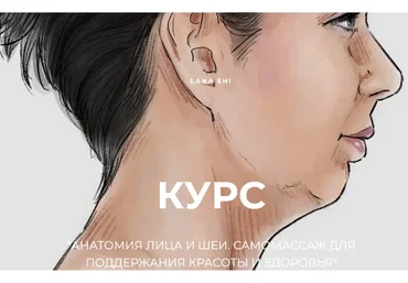 Анатомия лица и шеи. Самомассаж для поддержания красоты и здоровья (Лана Ши)