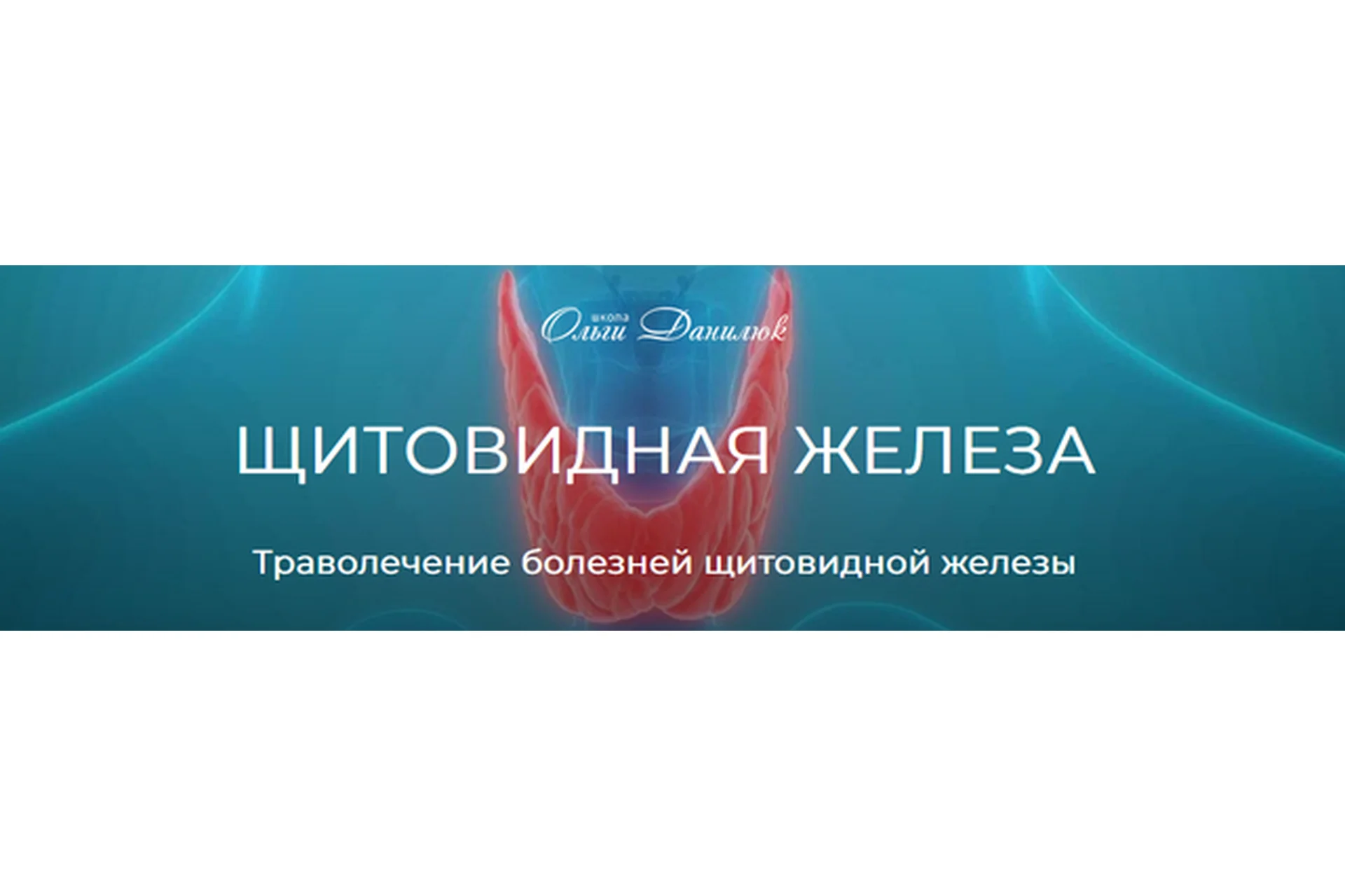 [Школа Ольги Данилюк] Траволечение болезней щитовидной железы (Ольга Данилюк), фото 1 из 1.