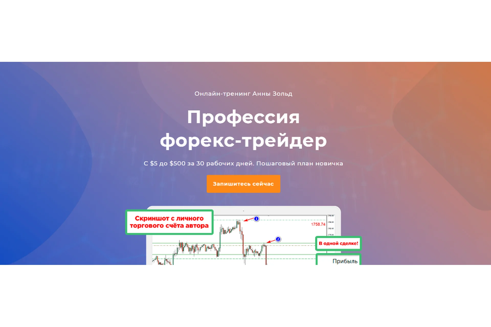 [Инфо-ДВД] Профессия форекс-трейдер. Тариф Стандарт (Анна Зольд), фото 1 из 1.