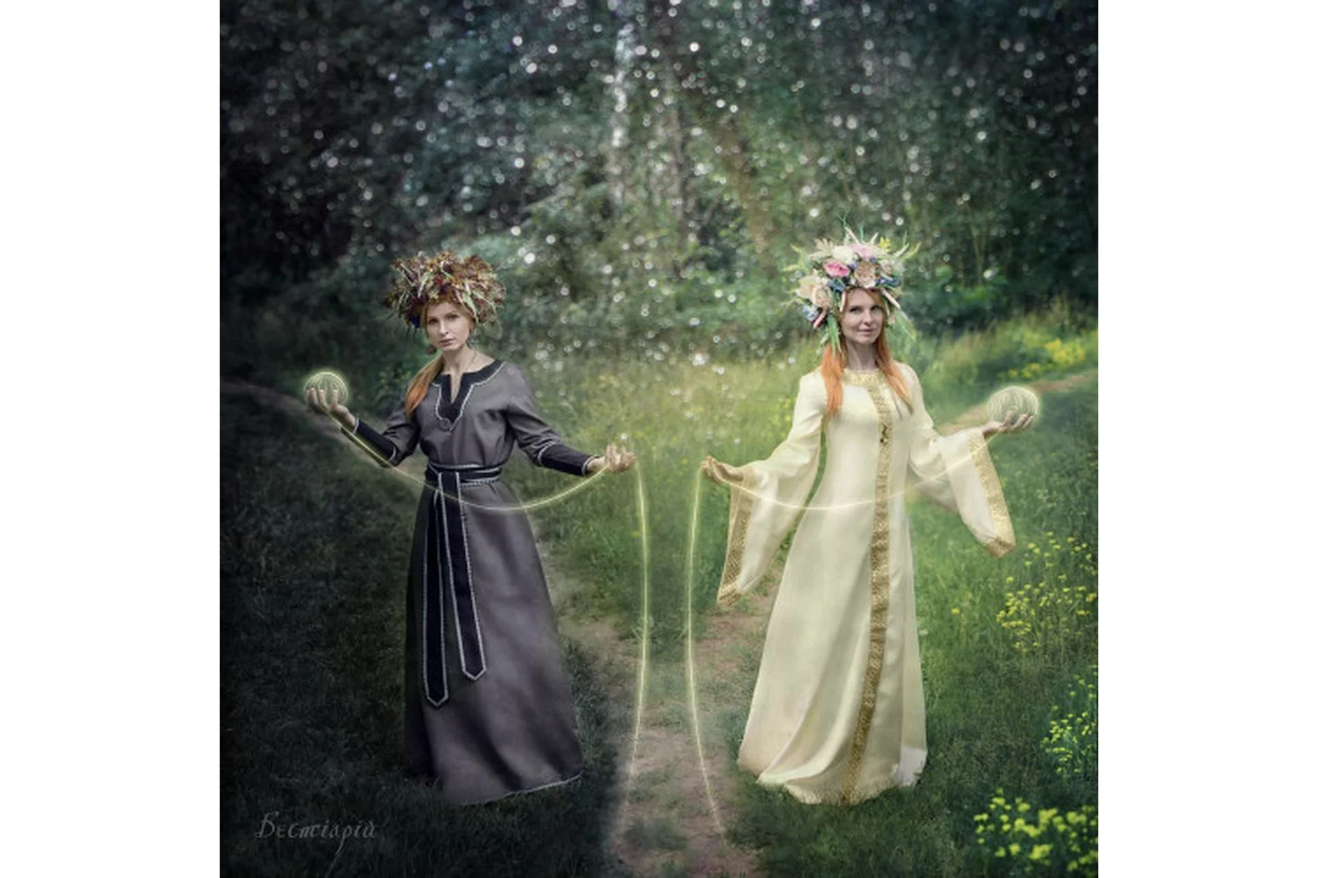 Родоведение. Ступень 1 (Александр Зинченко), фото 1 из 1.