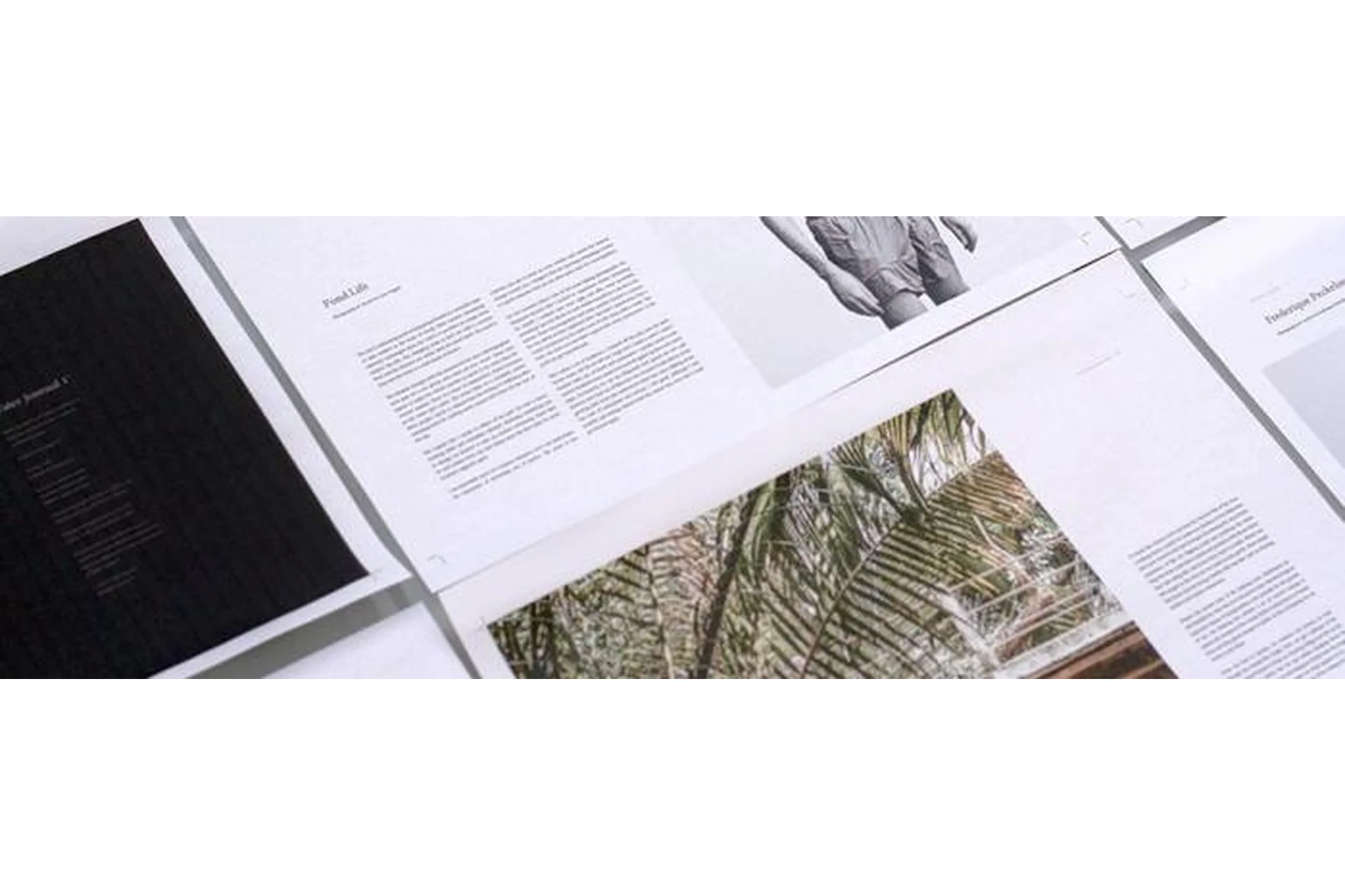 [highlights] Основы Adobe Illustrator, 2017 (Дмитрий Ковалев), фото 1 из 1.