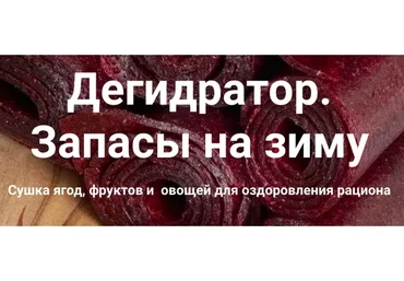 Дегидратор. Запасы на зиму (Ольга Неблогер)