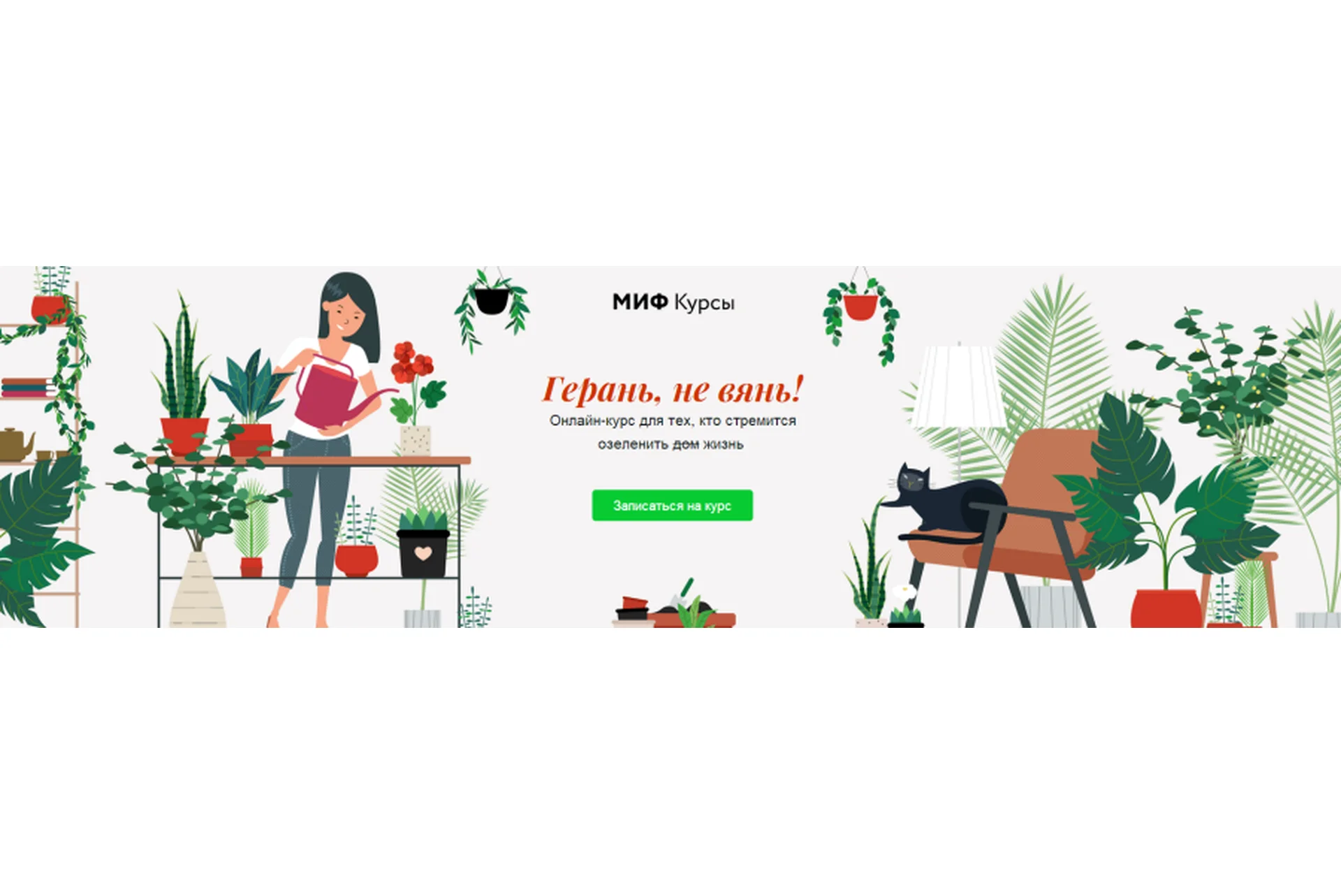 Герань, не вянь (Мария Степанова), фото 1 из 1.