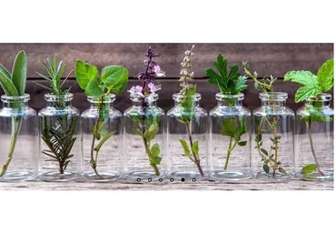 [Аромареалити] Мир ароматов, часть 2, курс «Натуральная парфюмерия» (Анна Семенова)