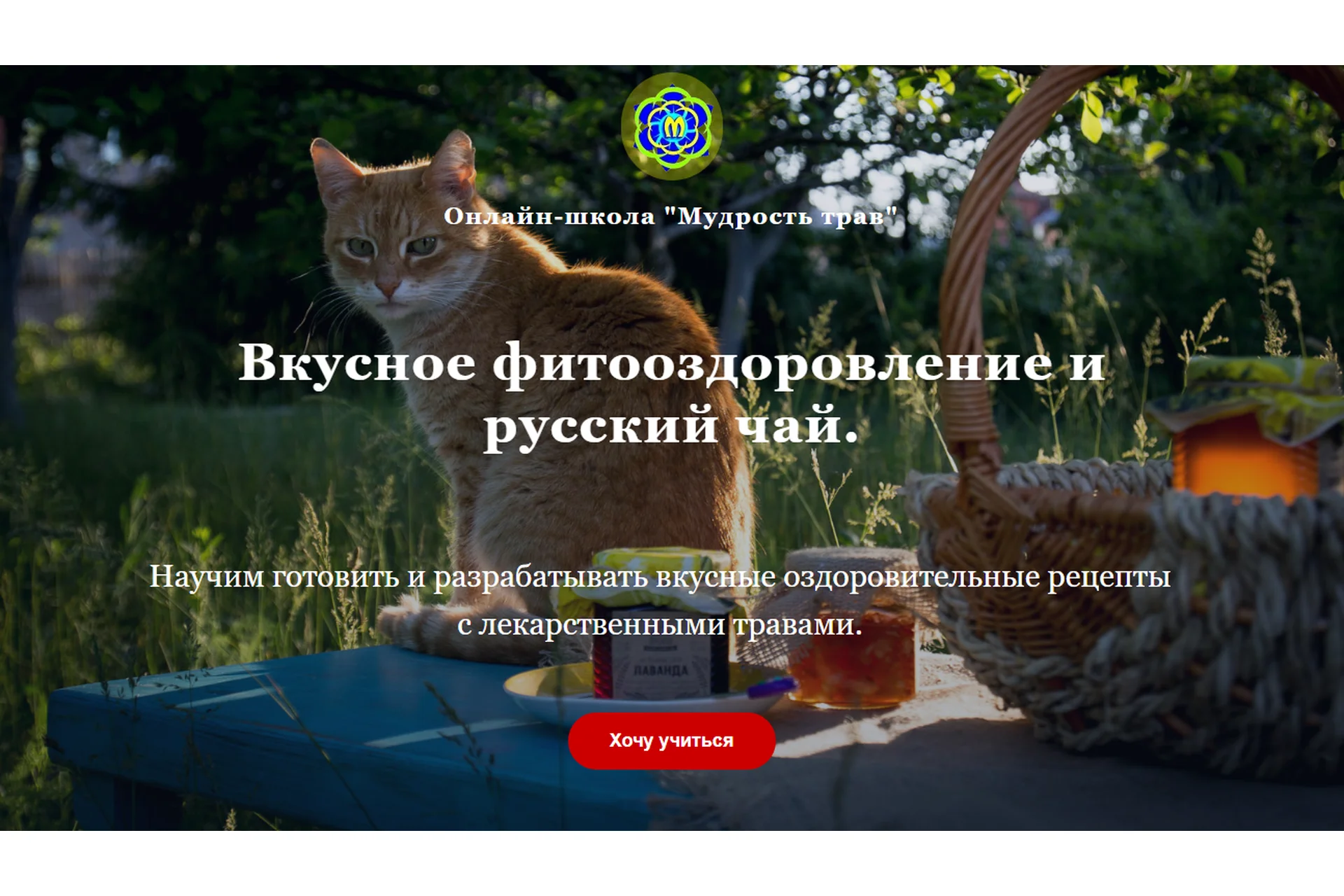 Вкусное фитооздоровление и русский чай. Тариф «Экстра» (Наталия Самотой, Юрий Курский), фото 1 из 1.