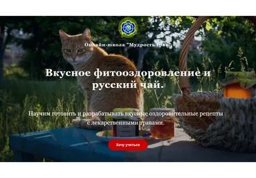 Вкусное фитооздоровление и русский чай. Тариф «Экстра» (Наталия Самотой, Юрий Курский)