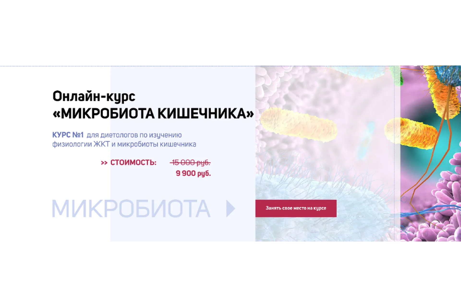 [Школа диетологов] Микробиота кишечника (Ксения Пустовая), фото 1 из 1.