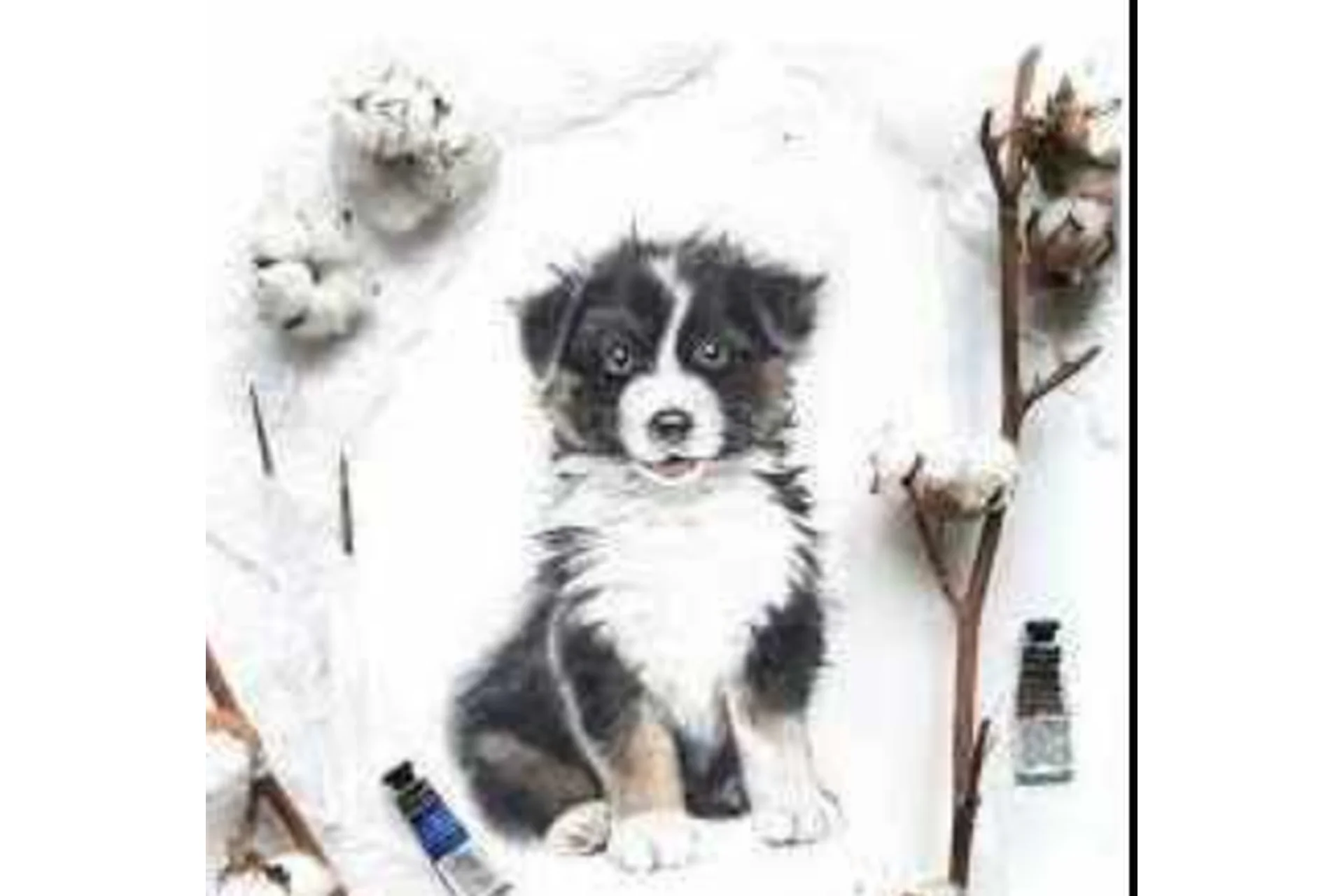 Акварельный курс «Пушистые малыши» (Нина Петровская), фото 1 из 1.