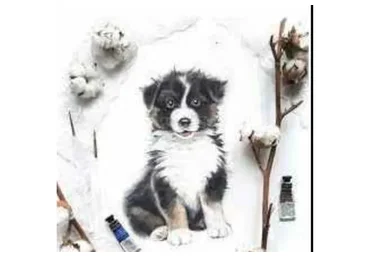 Акварельный курс «Пушистые малыши» (Нина Петровская)