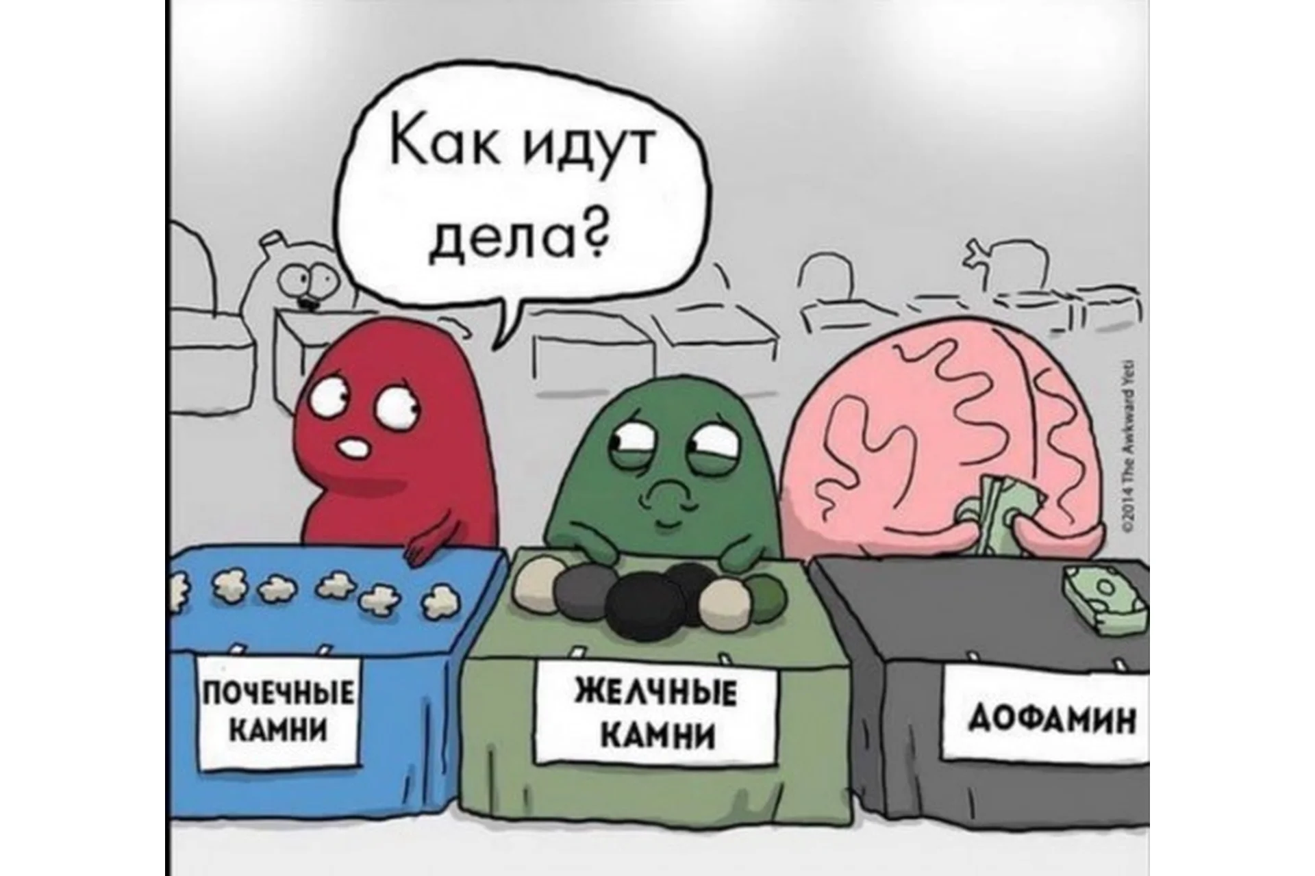 Висцеральная терапия 3. Органы грудной клетки и почки (Григорий Крутов), фото 1 из 1.