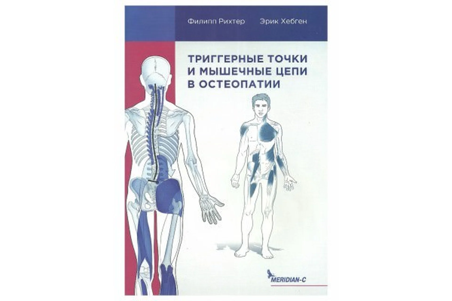Триггерные точки и мышечные цепи в остеопатии  (Эрик Хебген и Филипп Рихтер), фото 1 из 1.