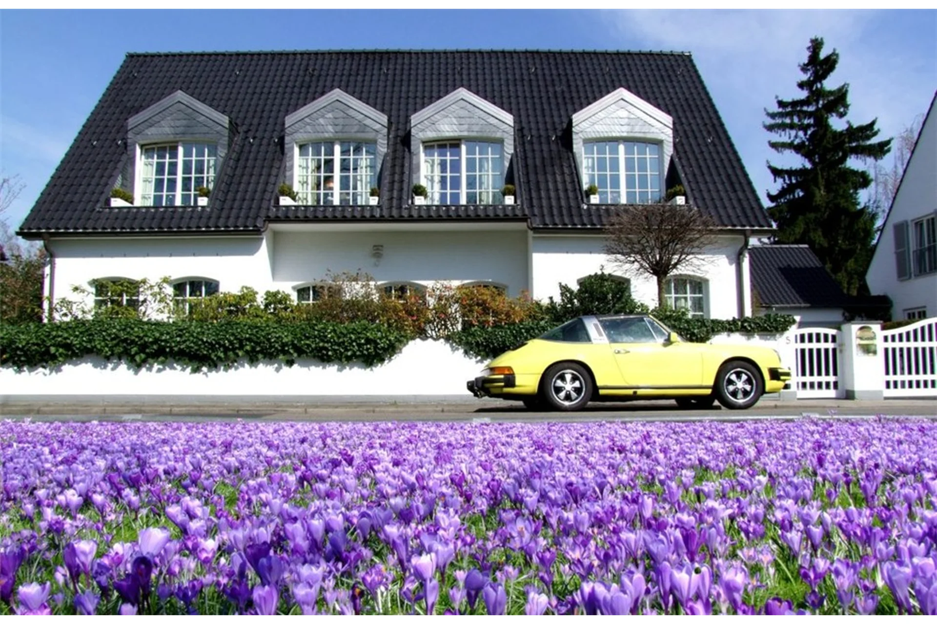 Строим дом по Васту. Тариф «Самостоятельный» (Петр Юткин), фото 1 из 1.