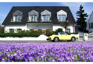 Строим дом по Васту. Тариф «Самостоятельный» (Петр Юткин)