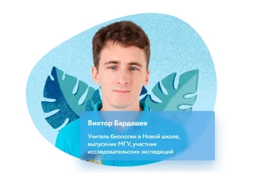 [Фоксфорд] Курс по окружающему миру «Вокруг человека» для 3 класса (Виктор Бардашев)