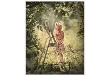 Обработка летних фотографий (Ольга Флер)