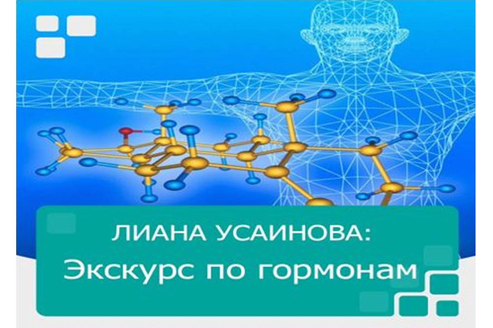 Экскурс по гормонам (Лиана Усаинова), фото 1 из 1.